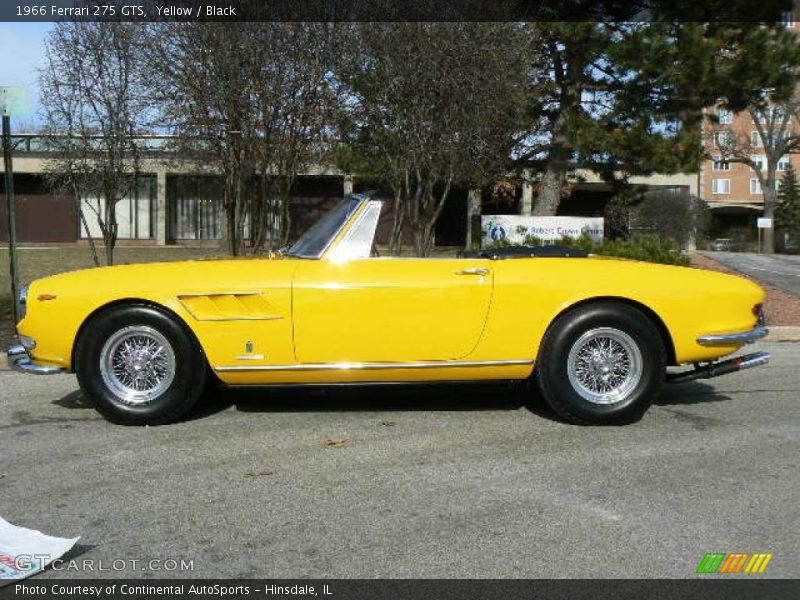 Yellow / Black 1966 Ferrari 275 GTS
