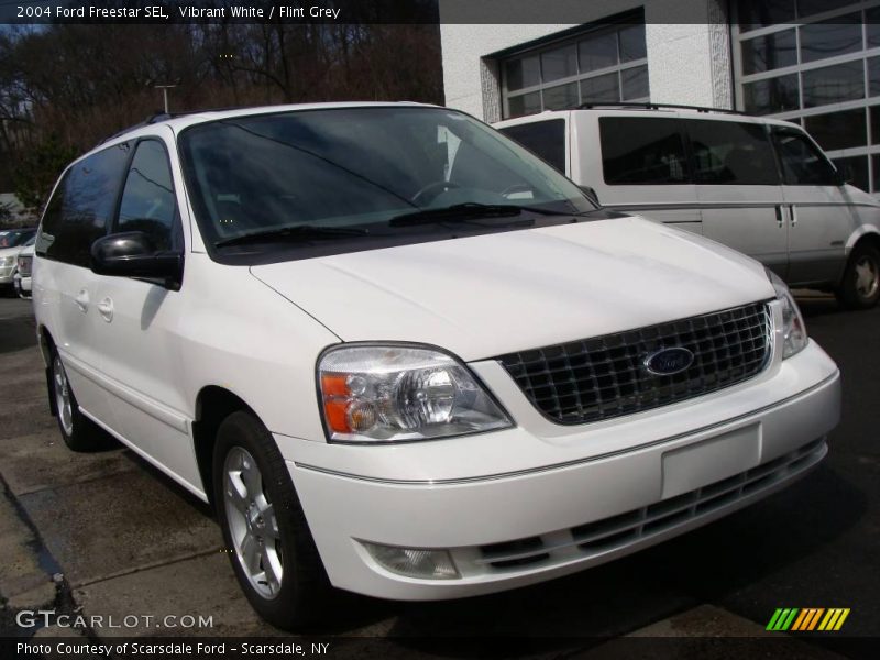Vibrant White / Flint Grey 2004 Ford Freestar SEL
