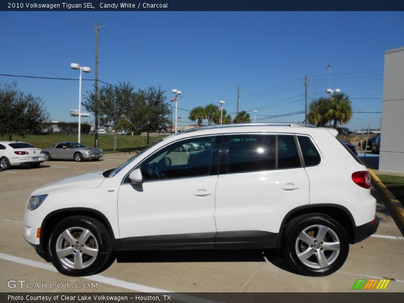 Candy White / Charcoal 2010 Volkswagen Tiguan SEL