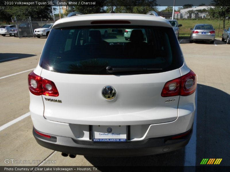 Candy White / Charcoal 2010 Volkswagen Tiguan SEL