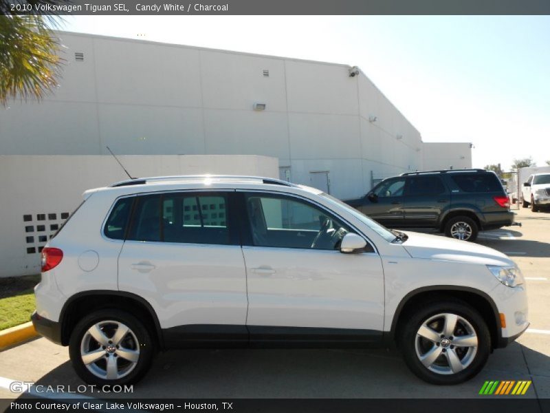 Candy White / Charcoal 2010 Volkswagen Tiguan SEL