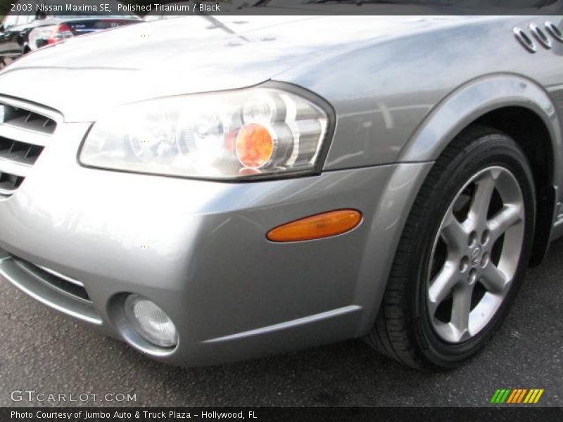 Polished Titanium / Black 2003 Nissan Maxima SE