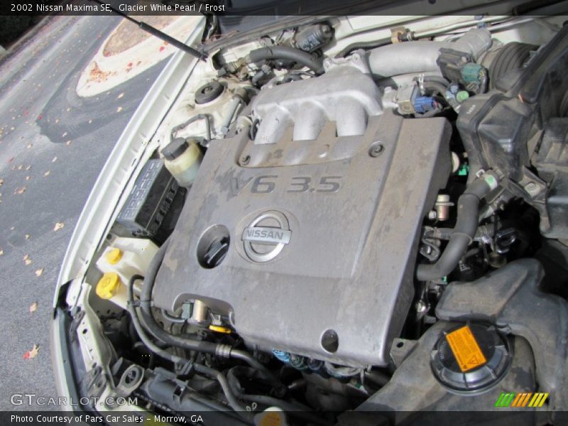 Glacier White Pearl / Frost 2002 Nissan Maxima SE