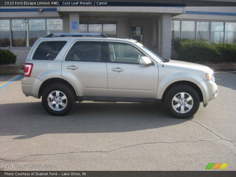 Gold Leaf Metallic / Camel 2010 Ford Escape Limited 4WD