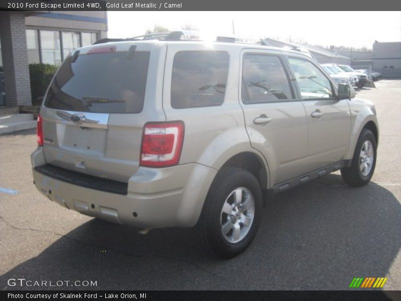 Gold Leaf Metallic / Camel 2010 Ford Escape Limited 4WD