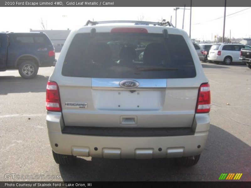 Gold Leaf Metallic / Camel 2010 Ford Escape Limited 4WD