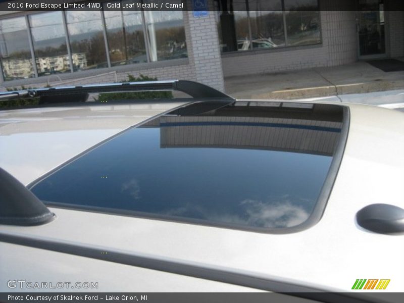 Gold Leaf Metallic / Camel 2010 Ford Escape Limited 4WD