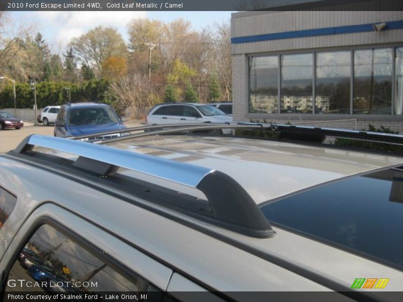 Gold Leaf Metallic / Camel 2010 Ford Escape Limited 4WD