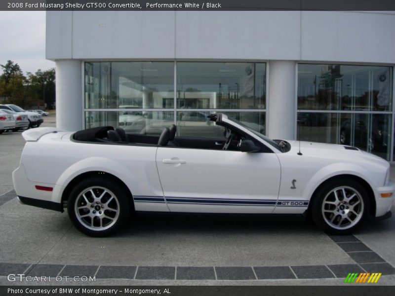 Performance White / Black 2008 Ford Mustang Shelby GT500 Convertible