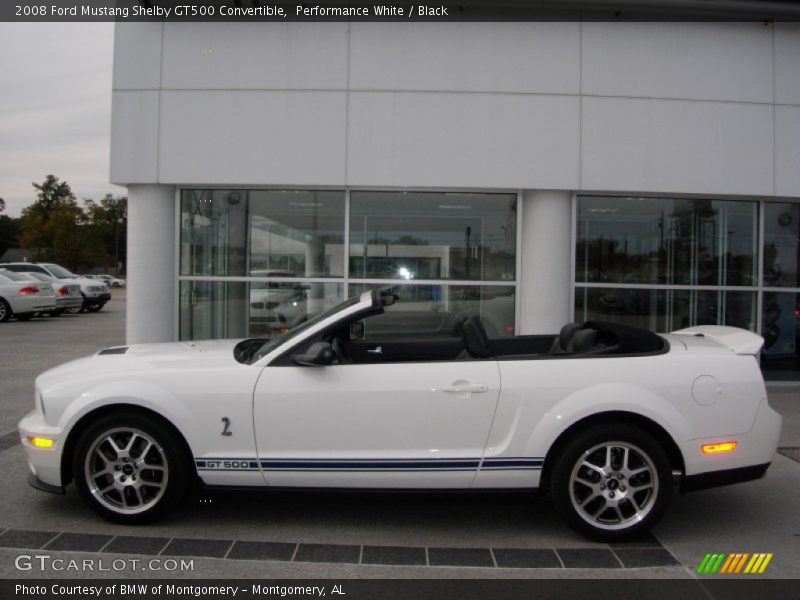 Performance White / Black 2008 Ford Mustang Shelby GT500 Convertible