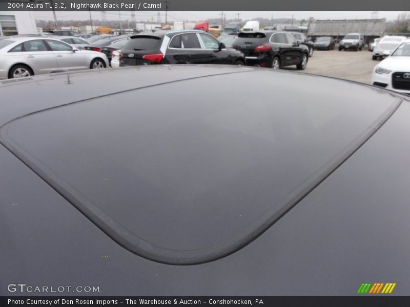 Nighthawk Black Pearl / Camel 2004 Acura TL 3.2