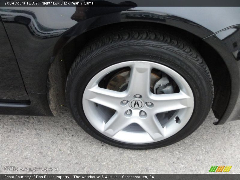 Nighthawk Black Pearl / Camel 2004 Acura TL 3.2