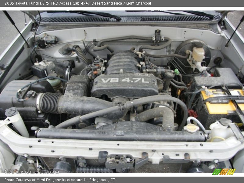 Desert Sand Mica / Light Charcoal 2005 Toyota Tundra SR5 TRD Access Cab 4x4