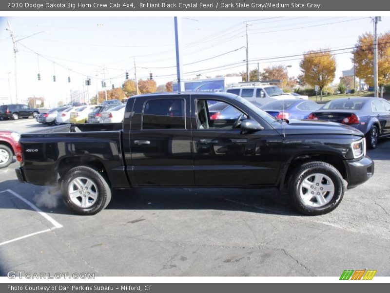 Brilliant Black Crystal Pearl / Dark Slate Gray/Medium Slate Gray 2010 Dodge Dakota Big Horn Crew Cab 4x4