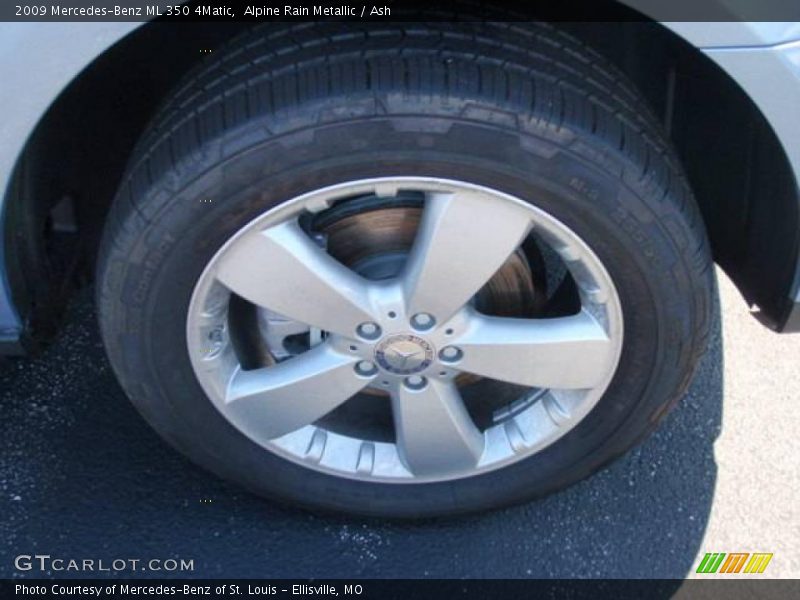 Alpine Rain Metallic / Ash 2009 Mercedes-Benz ML 350 4Matic