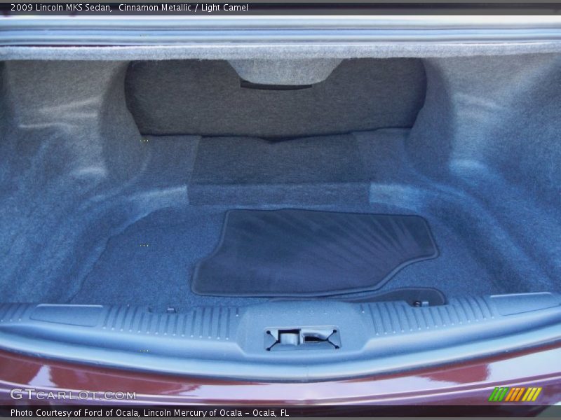 Cinnamon Metallic / Light Camel 2009 Lincoln MKS Sedan