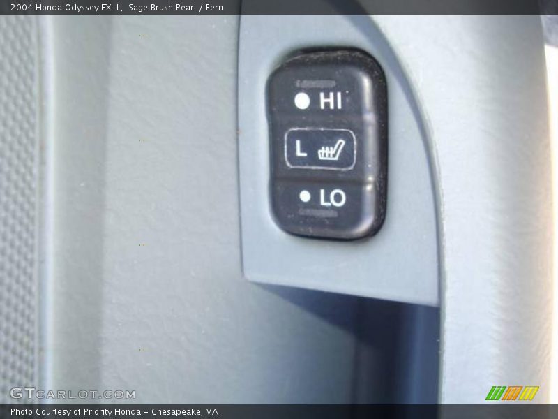 Sage Brush Pearl / Fern 2004 Honda Odyssey EX-L