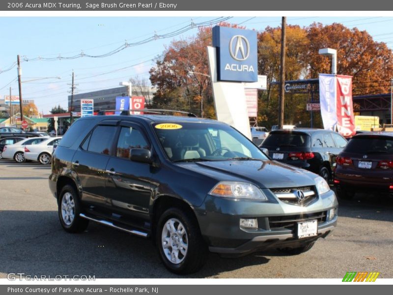 Sage Brush Green Pearl / Ebony 2006 Acura MDX Touring