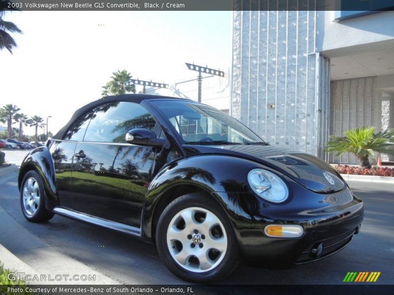 Black / Cream 2003 Volkswagen New Beetle GLS Convertible