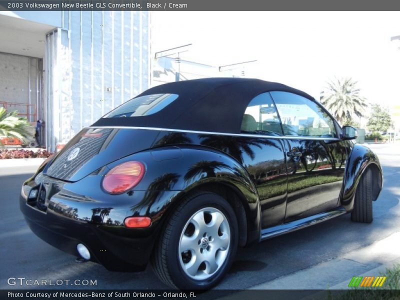 Black / Cream 2003 Volkswagen New Beetle GLS Convertible