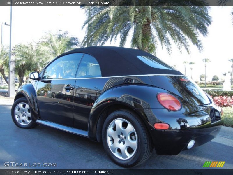 Black / Cream 2003 Volkswagen New Beetle GLS Convertible