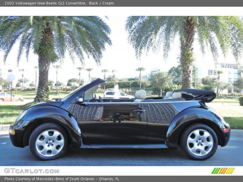 Black / Cream 2003 Volkswagen New Beetle GLS Convertible