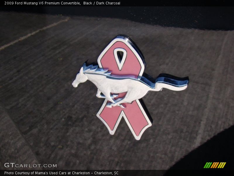 Black / Dark Charcoal 2009 Ford Mustang V6 Premium Convertible
