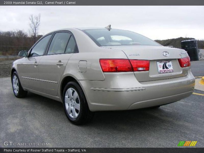Camel Pearl / Camel 2009 Hyundai Sonata GLS