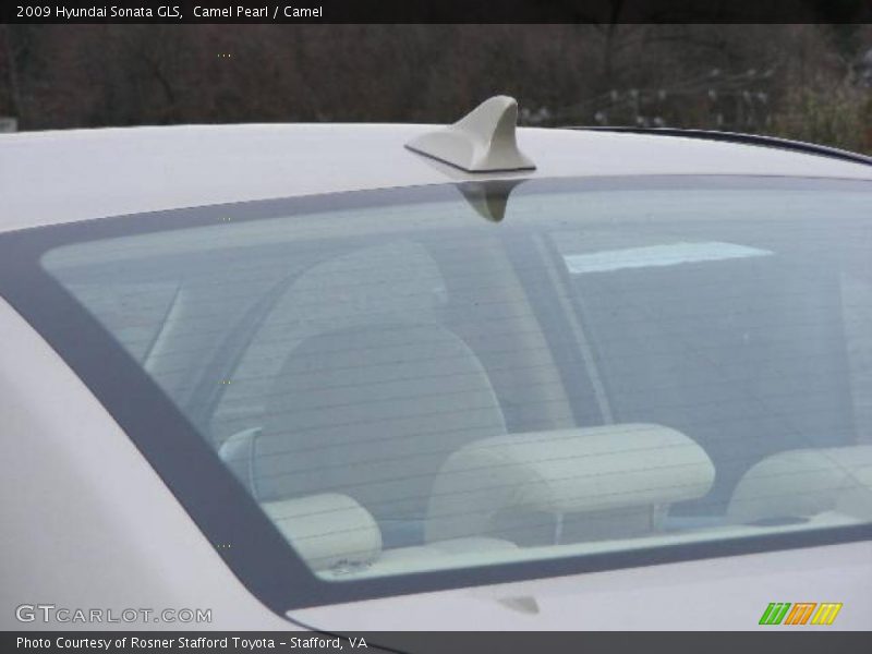 Camel Pearl / Camel 2009 Hyundai Sonata GLS