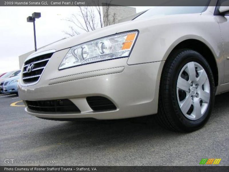 Camel Pearl / Camel 2009 Hyundai Sonata GLS