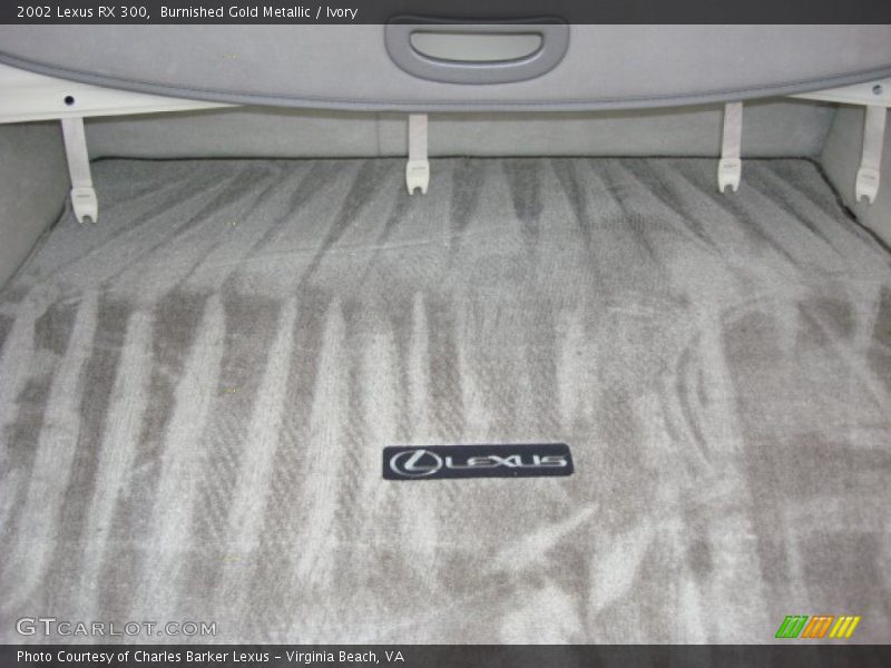 Burnished Gold Metallic / Ivory 2002 Lexus RX 300