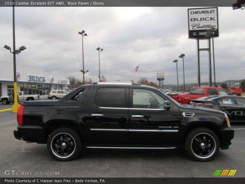 Black Raven / Ebony 2010 Cadillac Escalade EXT AWD
