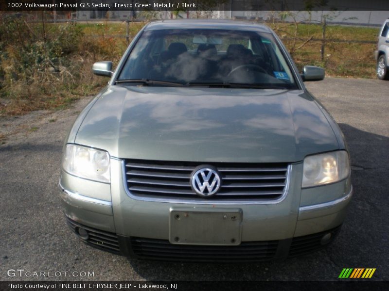 Fresco Green Metallic / Black 2002 Volkswagen Passat GLS Sedan