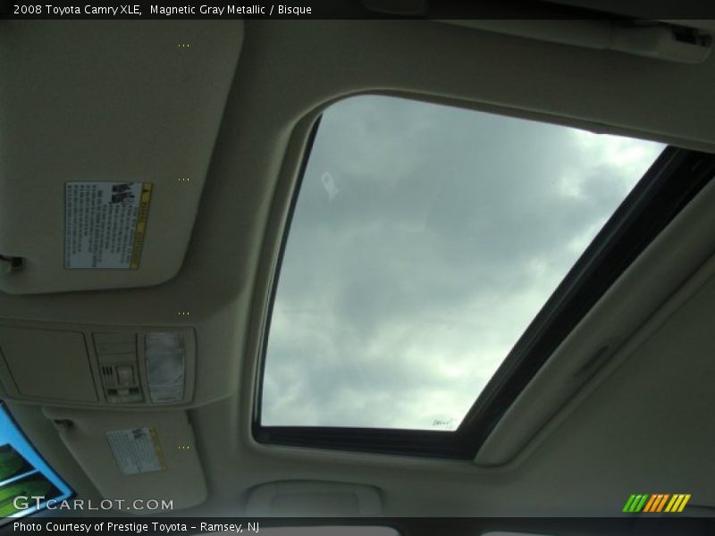 Magnetic Gray Metallic / Bisque 2008 Toyota Camry XLE