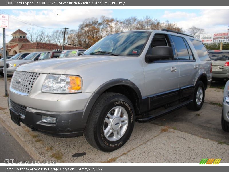 Silver Birch Metallic / Medium Flint Grey 2006 Ford Expedition XLT 4x4