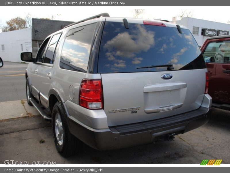 Silver Birch Metallic / Medium Flint Grey 2006 Ford Expedition XLT 4x4