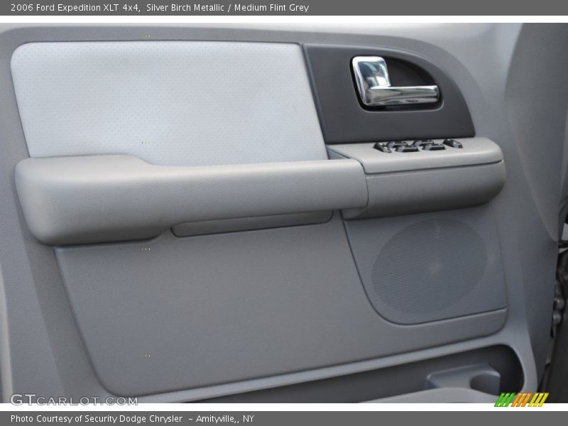 Silver Birch Metallic / Medium Flint Grey 2006 Ford Expedition XLT 4x4