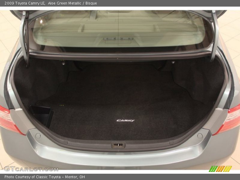 Aloe Green Metallic / Bisque 2009 Toyota Camry LE