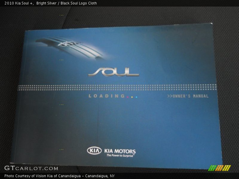 Bright Silver / Black Soul Logo Cloth 2010 Kia Soul +