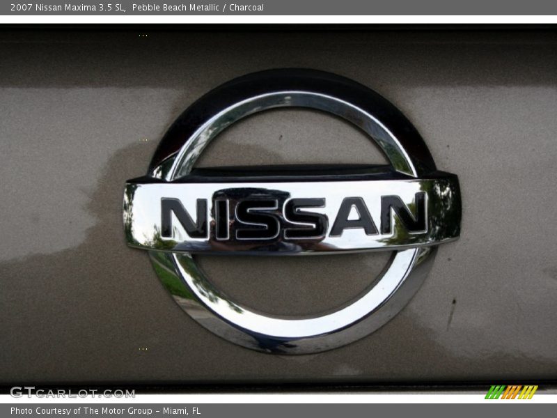 Pebble Beach Metallic / Charcoal 2007 Nissan Maxima 3.5 SL
