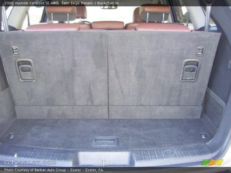 Satin Beige Metallic / Black/Saddle 2008 Hyundai Veracruz SE AWD