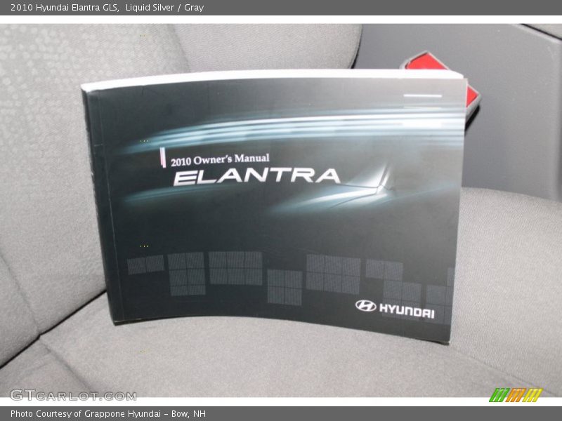 Liquid Silver / Gray 2010 Hyundai Elantra GLS