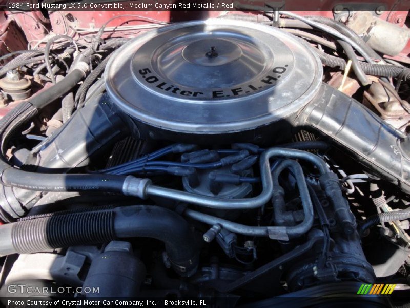 Medium Canyon Red Metallic / Red 1984 Ford Mustang LX 5.0 Convertible