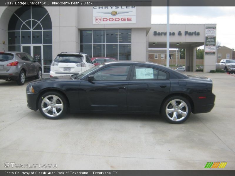 Blackberry Pearl / Black 2012 Dodge Charger SXT