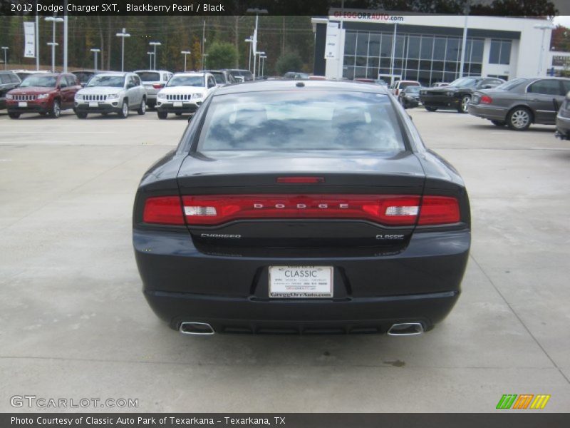 Blackberry Pearl / Black 2012 Dodge Charger SXT
