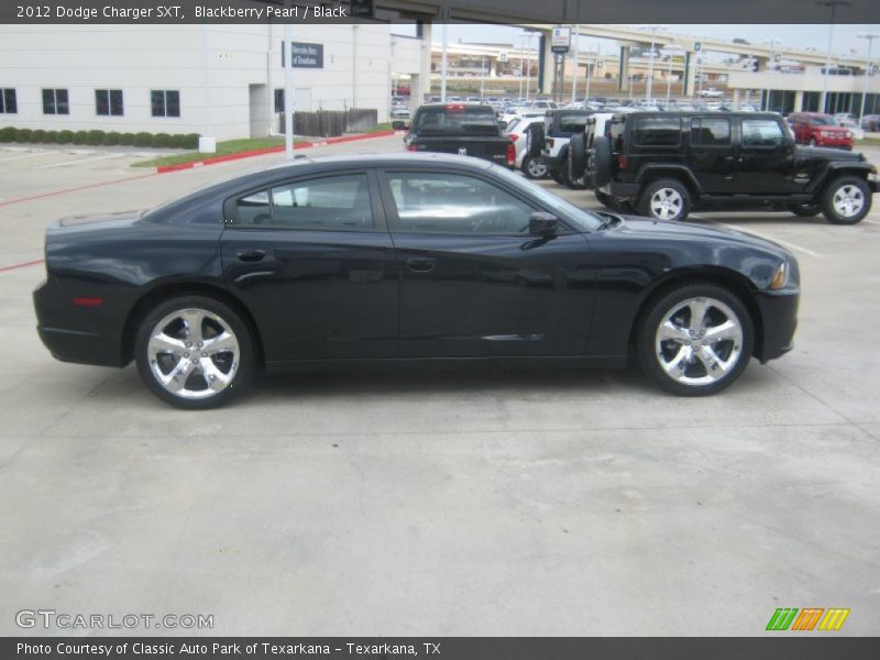 Blackberry Pearl / Black 2012 Dodge Charger SXT