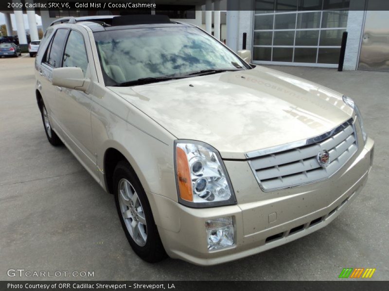 Gold Mist / Cocoa/Cashmere 2009 Cadillac SRX V6