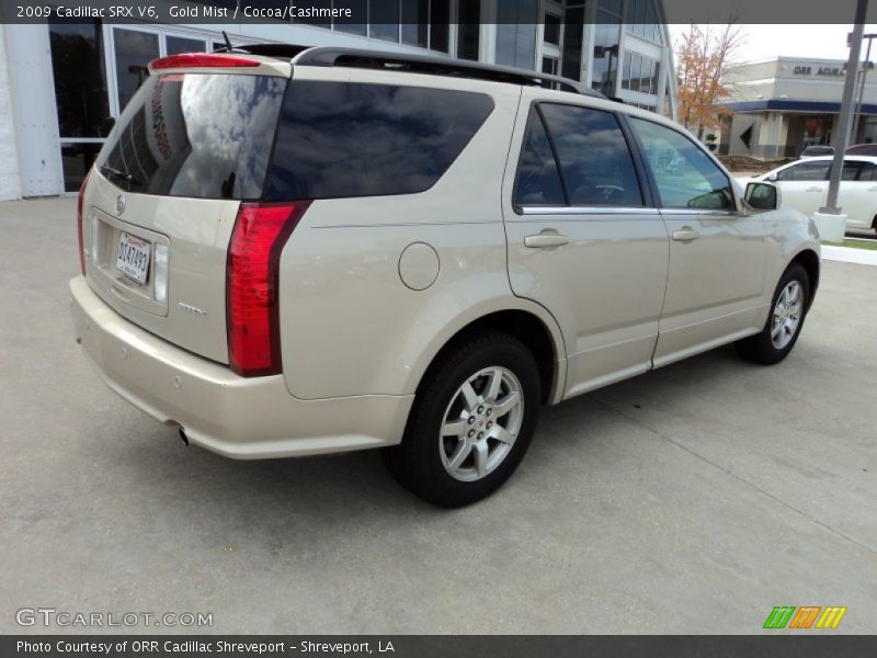 Gold Mist / Cocoa/Cashmere 2009 Cadillac SRX V6
