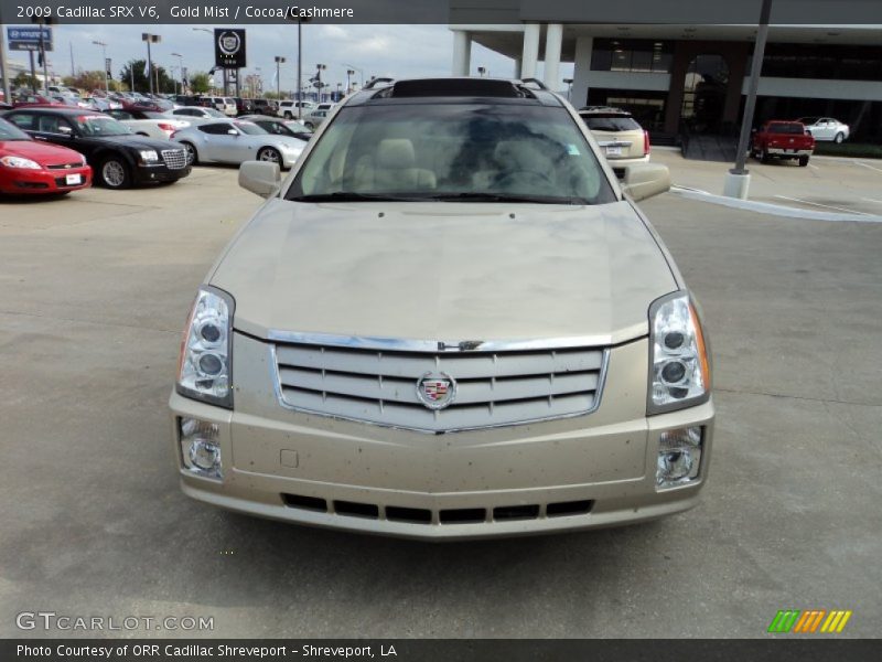 Gold Mist / Cocoa/Cashmere 2009 Cadillac SRX V6