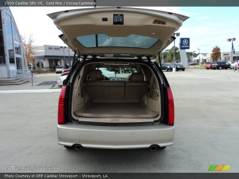 Gold Mist / Cocoa/Cashmere 2009 Cadillac SRX V6